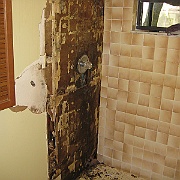 Picture 001